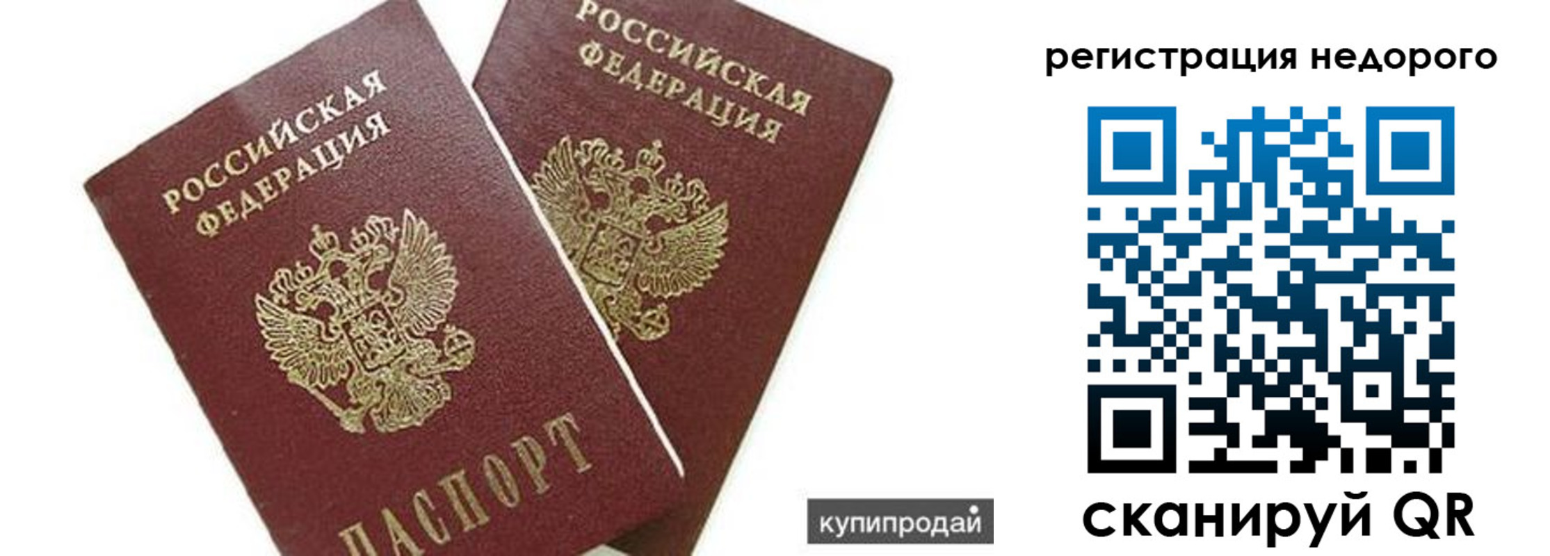 прописка поиск в Вязьме